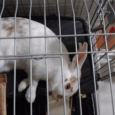 白目で熟睡姿を激写❕❕