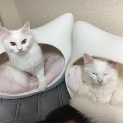 シャンプー完了♡