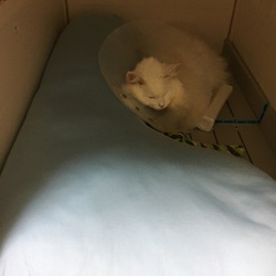 病院へ行ってきました✩