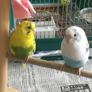 たくさんのご応募ありがとうございました。