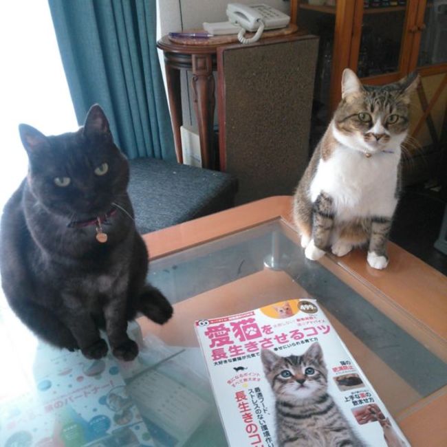 nakoru45のカバー写真