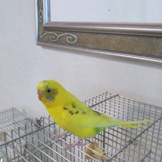 ご応募を頂きましてありがとうございました。