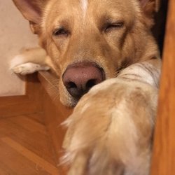 おひさしぶりです(^^ゞ