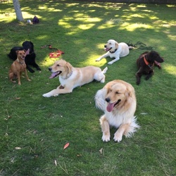 あー楽しかった