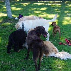 「あー楽しかった」サムネイル2