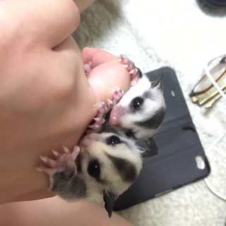 たくさんのご応募ありがとうございました。