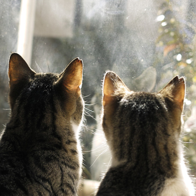 えいじ2645のカバー写真