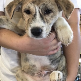 ♂353 里親募集です！