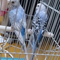 なこちゃん   みくちゃん