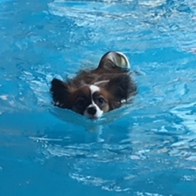 kana1122のカバー写真