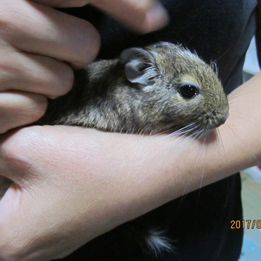 ピー（母）11ヶ月