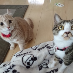 子供とおふたりさん