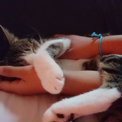 「子供とおふたりさん」サムネイル3