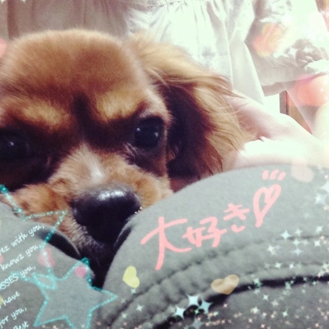 むにまむのカバー写真