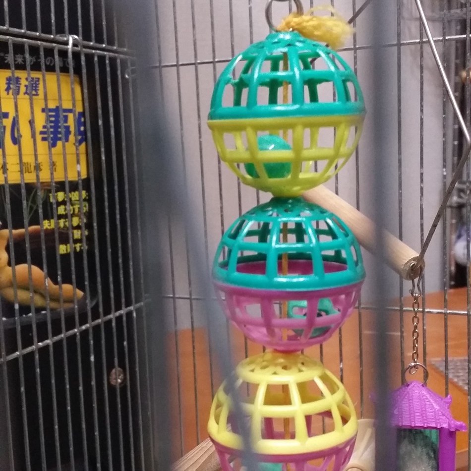 すめりーのカバー写真