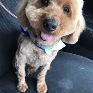 ありがとうございます！