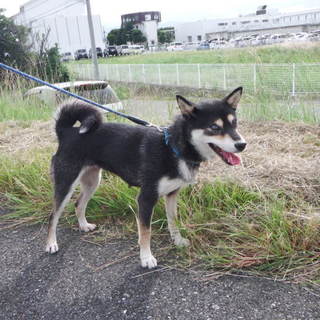 可愛いだけじゃない！お行儀もいい子なのー