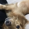 の写真