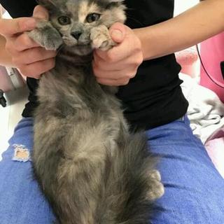 幸せな未来をお約束下さるご家族に！