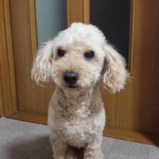 よろしくお願いします。