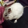 まさたん さん