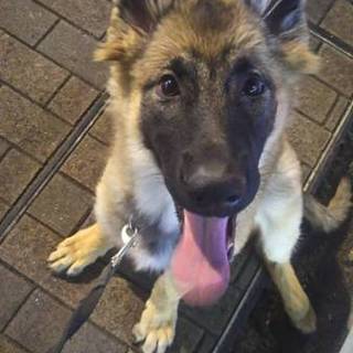 一旦締め切らせていただきます