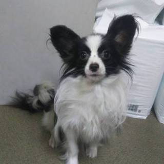 一旦締め切らせていただきます