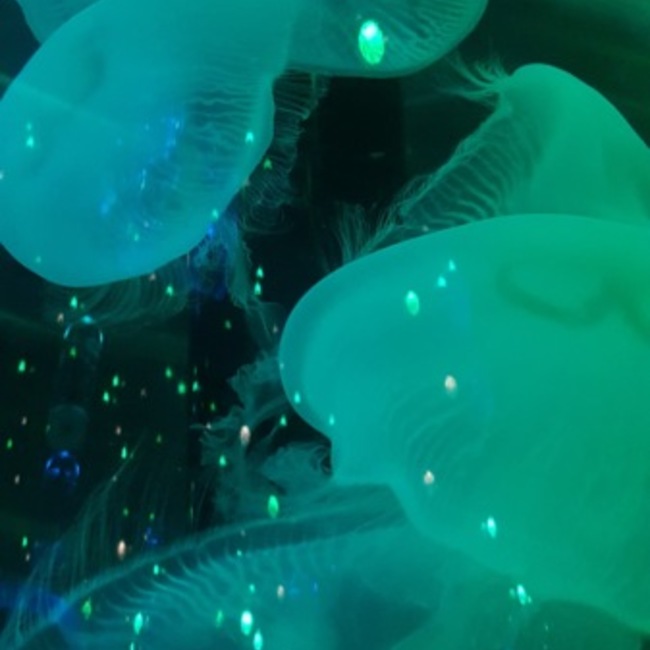 ぶちあかのカバー写真