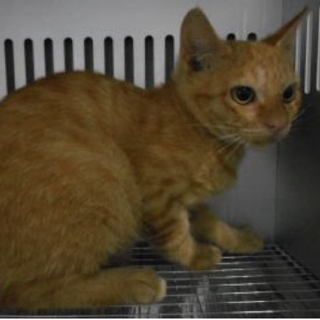 団体様が引き出して下さいました。