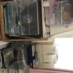 「みんな元気！」サムネイル2