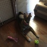 の写真