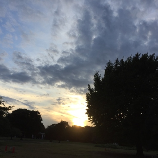 女ムツゴロウのカバー写真