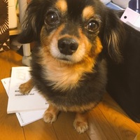 はな
