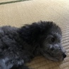 やっと寝てくれた・・・・
