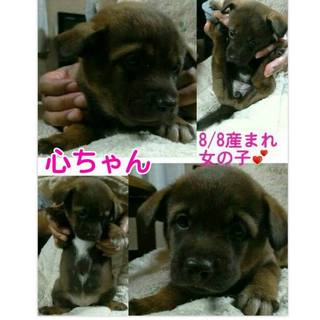 家族が出来ました‼