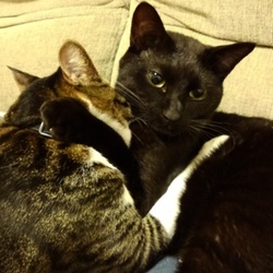 「近況9月」サムネイル2