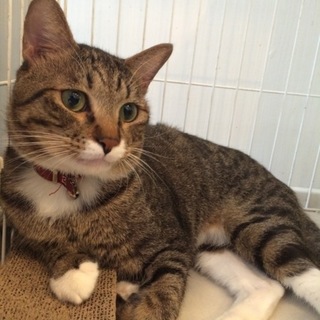 管理番号：OS−431