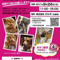 ｵﾙﾎﾞ譲渡会