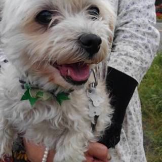 新しいご家族ができました☆