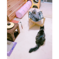 「ハンモック」サムネイル2