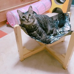 「ハンモック」サムネイル3