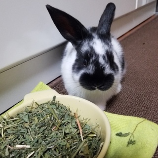 ありがとうございました。