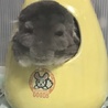 えりか338800