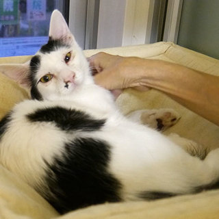 ちょっとどんくさいけど癒し系！