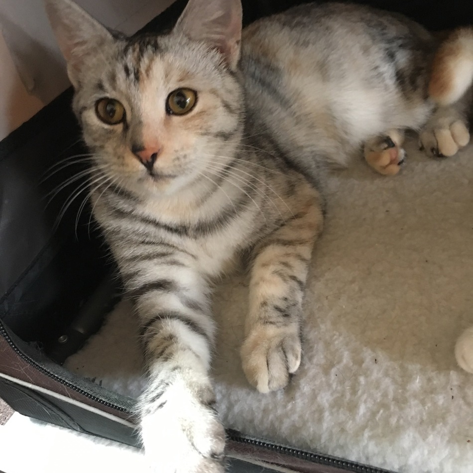 うみのカバー写真