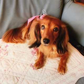 素敵なご家族とのご縁が繋がりました^^