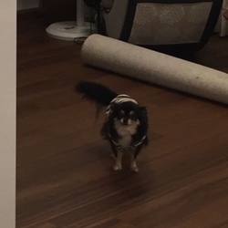 耳掃除イヤー！