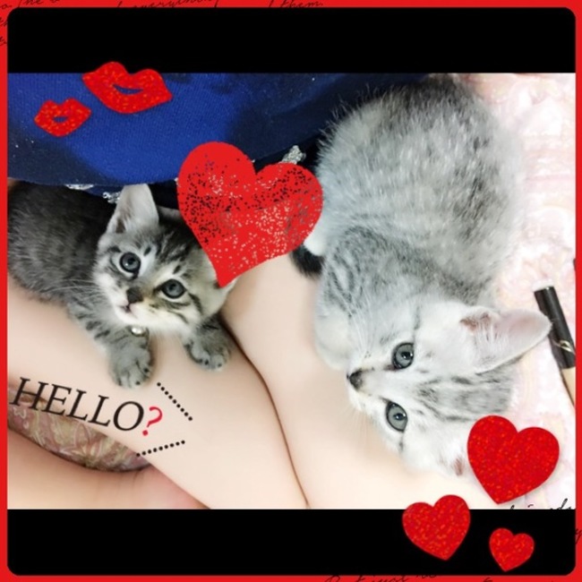 芹澤あみのカバー写真