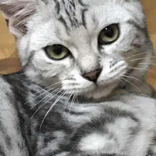 可愛いがってくださる方