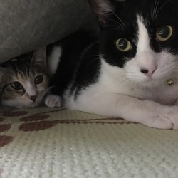 我が家に来て１年が経ちました♪